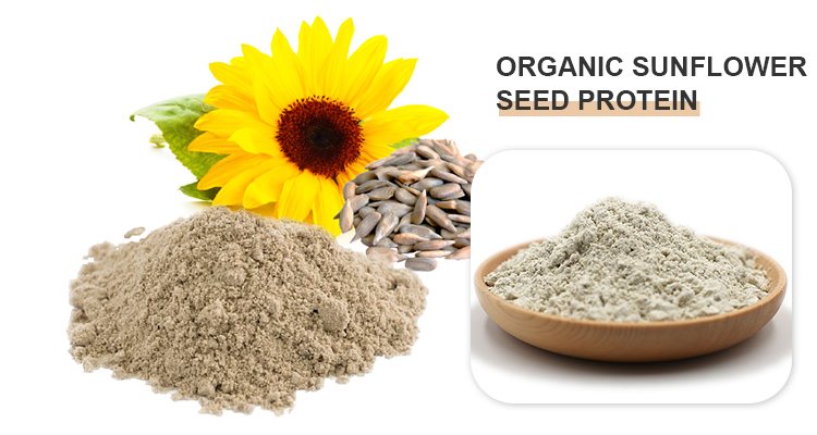 Sunflower Protein Powder.jpg